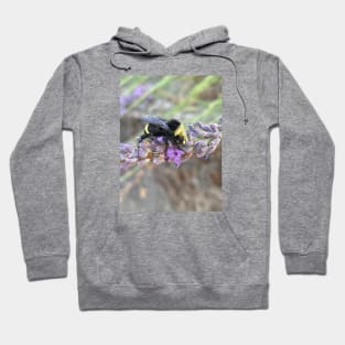 Bumble Bee on Lavender Flower Hoodie